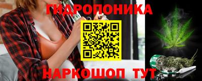 дурь Можга