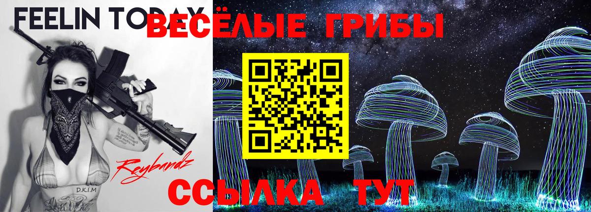 как найти наркотики  Вход с VPN  Ярославль  Галлюциногенные грибы прущие грибы  Псилоцибиновые грибы прущие грибы 
